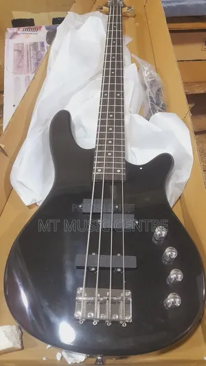Base Guitor
