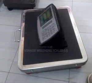 Platform Weighing Scale Machine 400kg Weigh Digital Weighing Scale