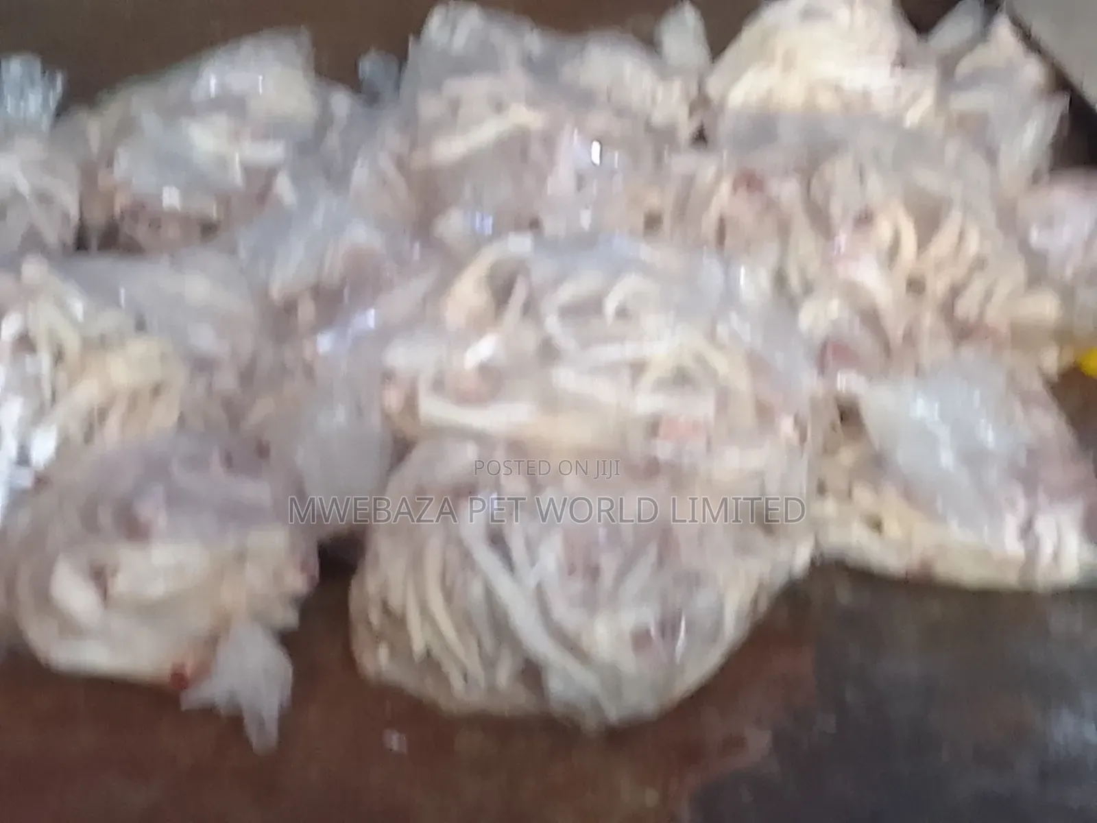 Chicken Legs