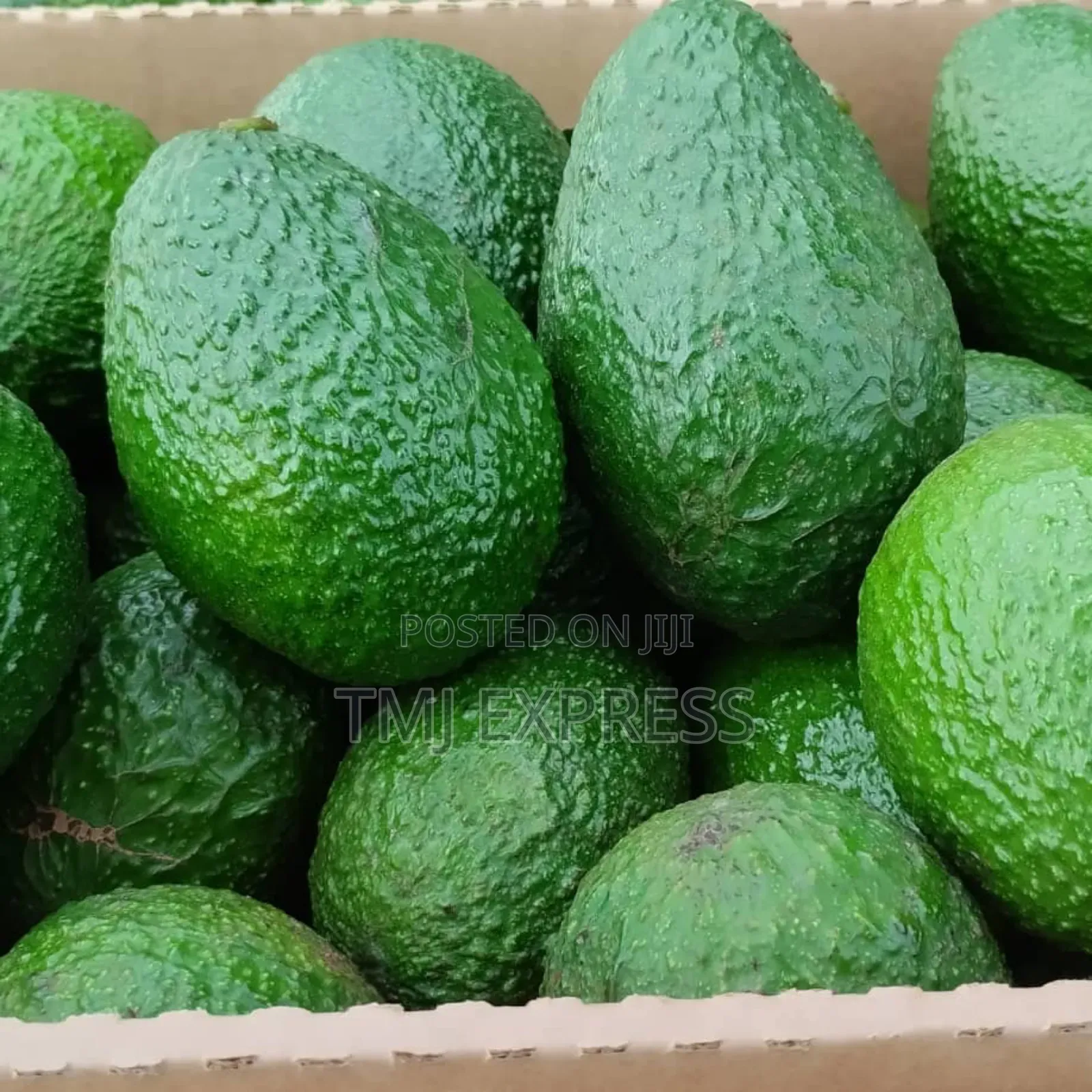 Ovacado Per Kilogram