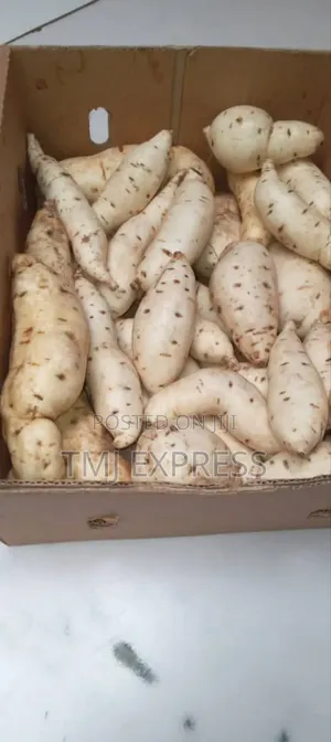 Photo - Sweet Potatos Per Kilogram