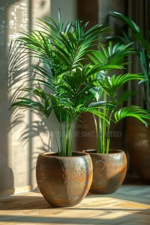 Iconic Latest Home Flowers