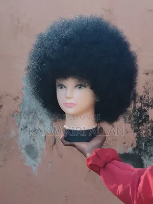 Black New Afro Wigs