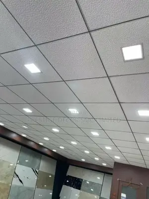 Unique Suspended Ceiling
