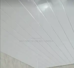Iconic Suspended Ceiling