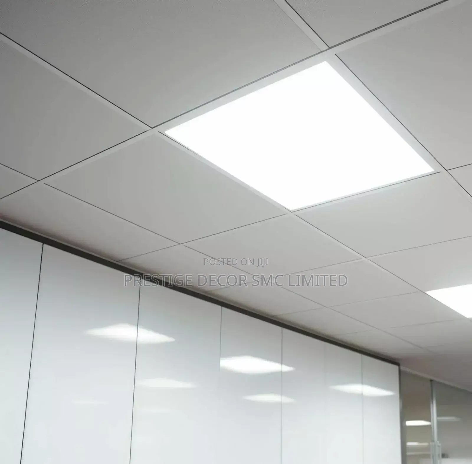 Suspended Ceiling of the Year
