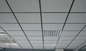 Beautiful Ceiling World Class Two