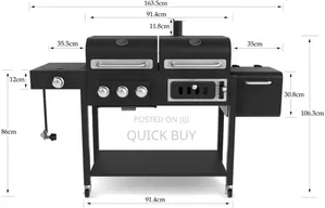 2 in 1 Commercial Luxury Gas Grill + Charcoal BBQ Grill