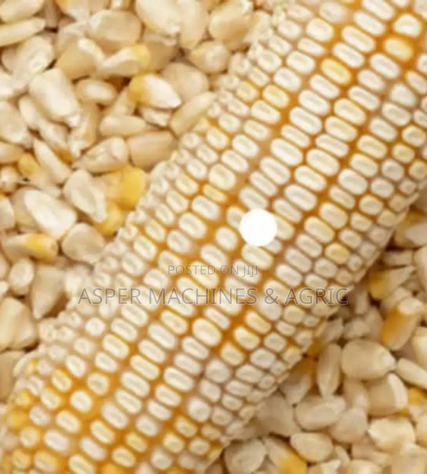 Maize Shellers Petrol