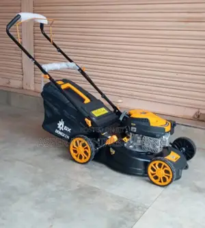 Mower / Lown Care Services