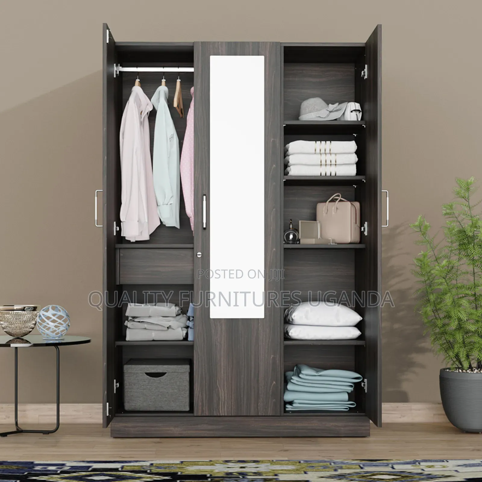 Wardrobe With Its Dressing Mirror