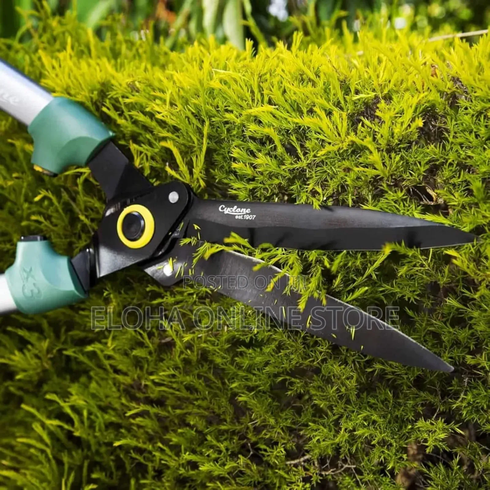 Stainless Steel Medium-Sized Garden Scissors