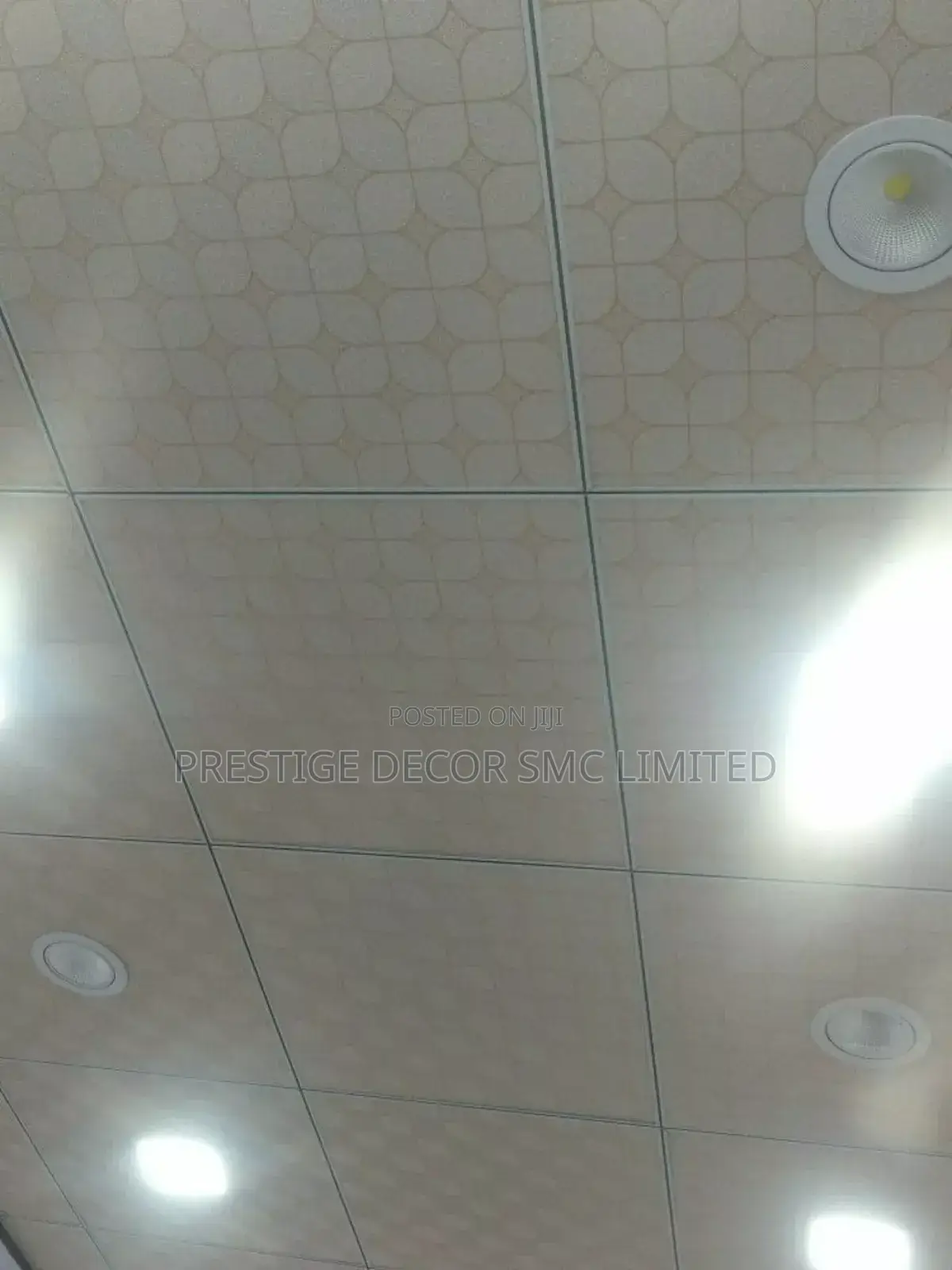 Amazing Suspended Ceiling Fancy