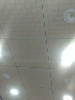 Amazing Suspended Ceiling Fancy