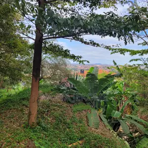 An Impressive Land Deal on a Kyanja Hilltop( 68 Decimals )