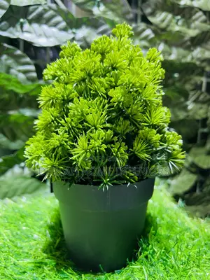 Artificial , Green Conifer Plants