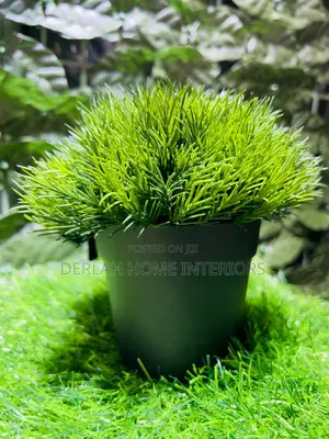 Artificial , Green Conifer Plants