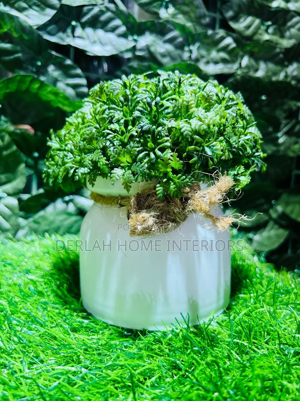 Artificial , Green Conifer Plants