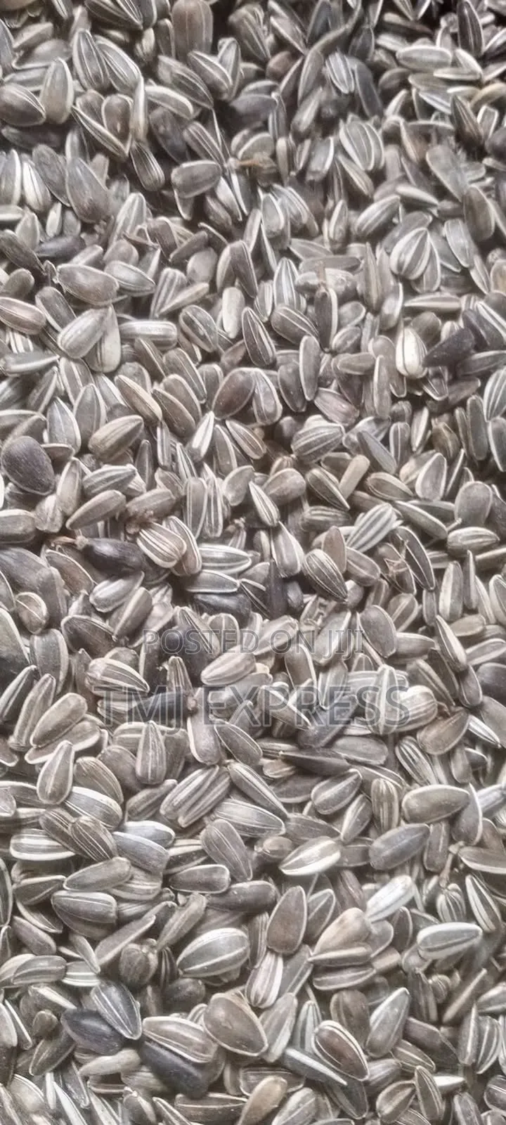 Sunflower Seeds Per Kilogram