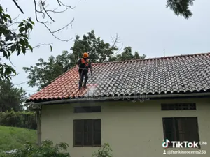 Roof Tile Cleaning Services