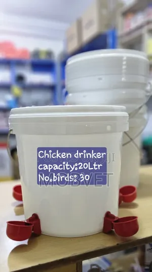 Installed Chicken Drinker
