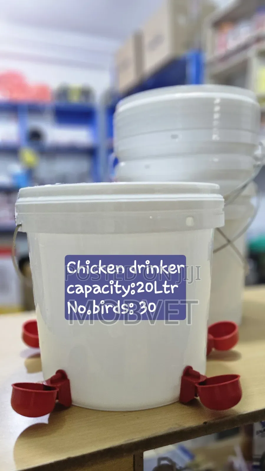Installed Chicken Drinker