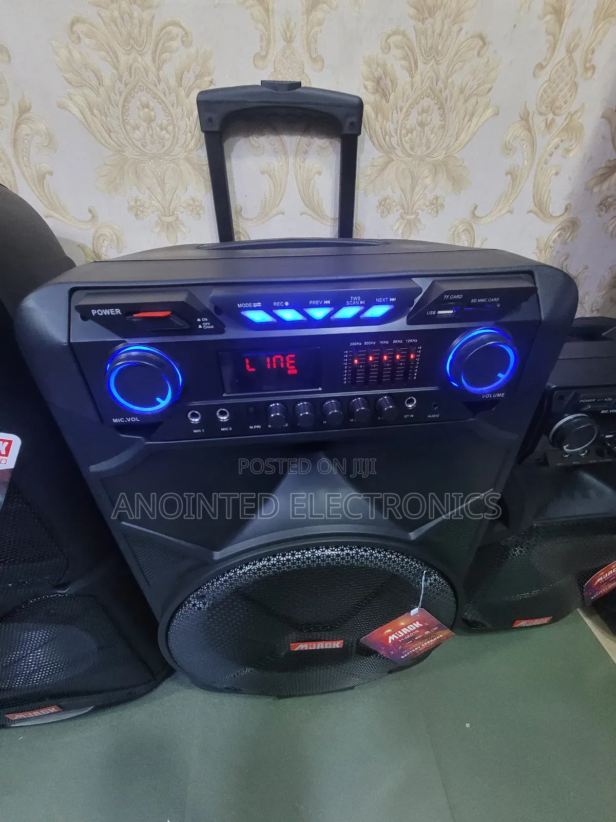 M Jack Rechargeable Speaker 15inches