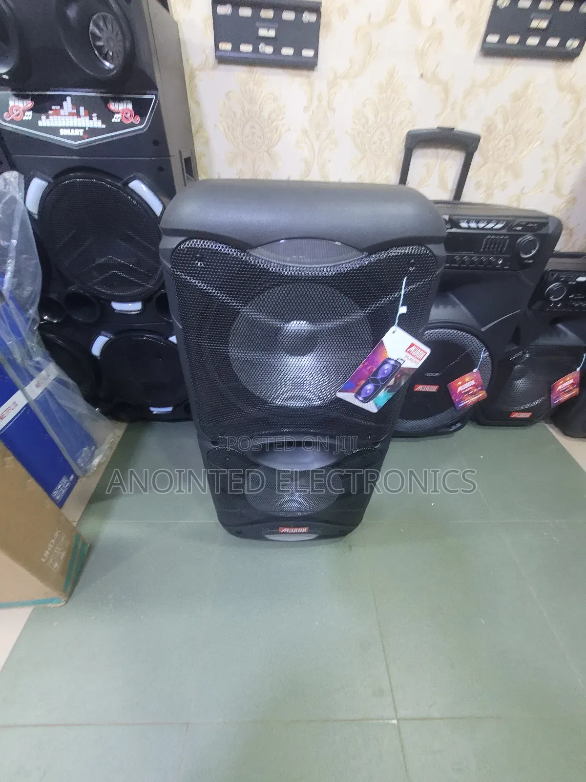 Rechargeable Microphone Mjack 12inches
