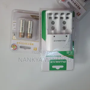Rechargeable Batteries and Charger