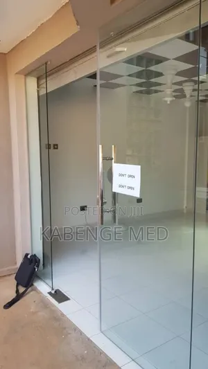 Frameless Glass Doors