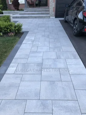 Professional Landscaping Services