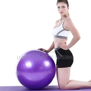 Professional Training Gym Ball