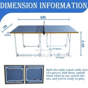 Professional Table Tennis Table