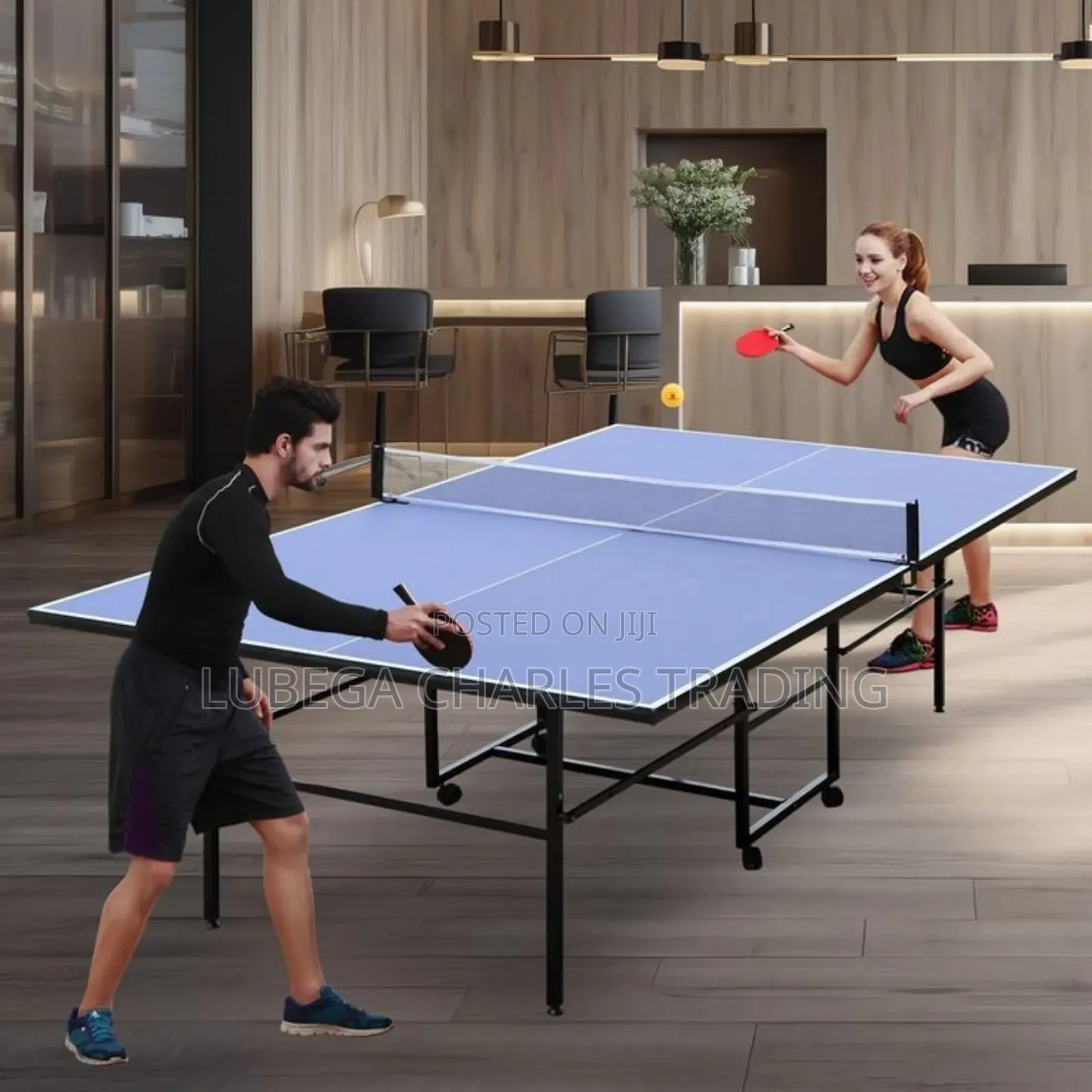 Professional Table Tennis Table