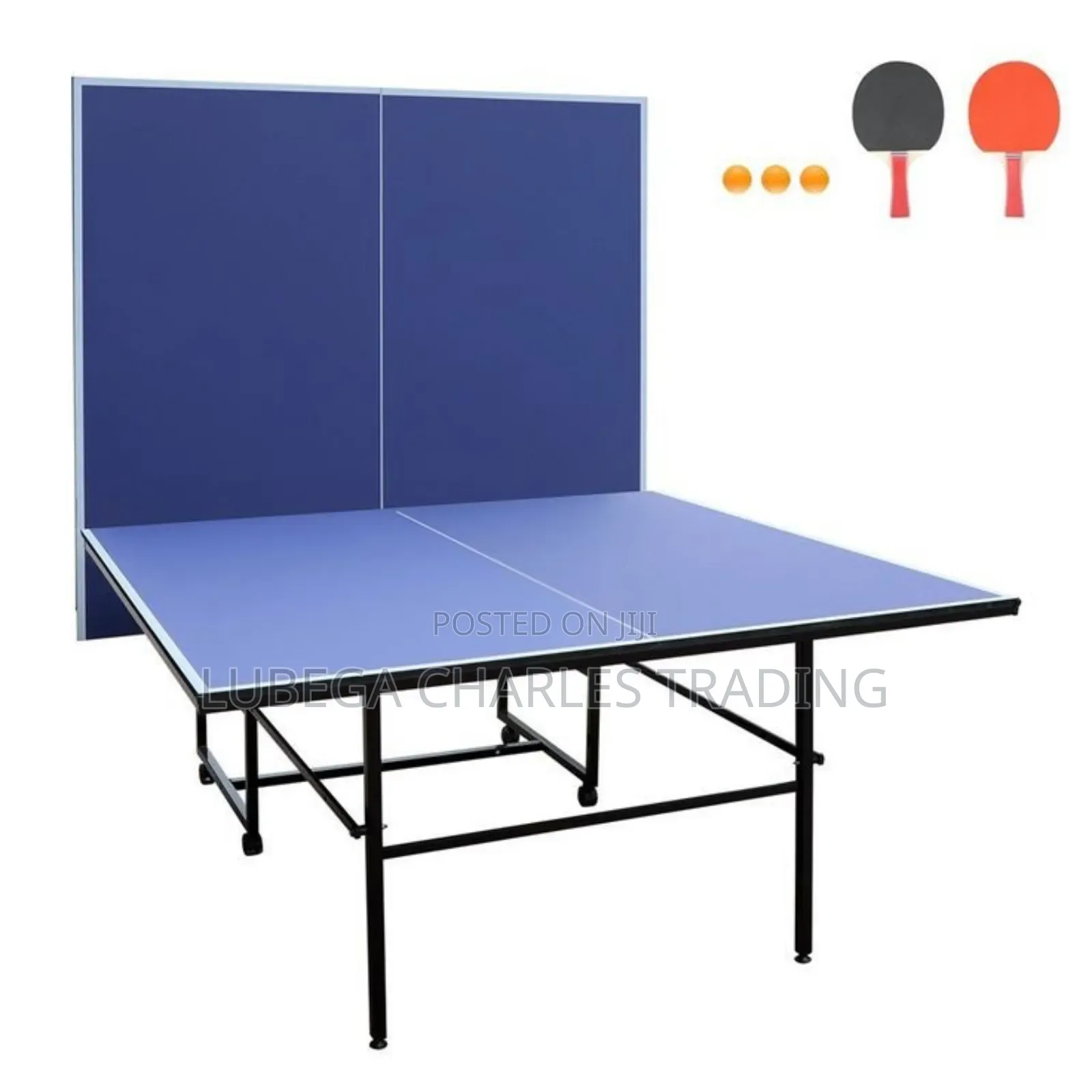 Professional Table Tennis Table