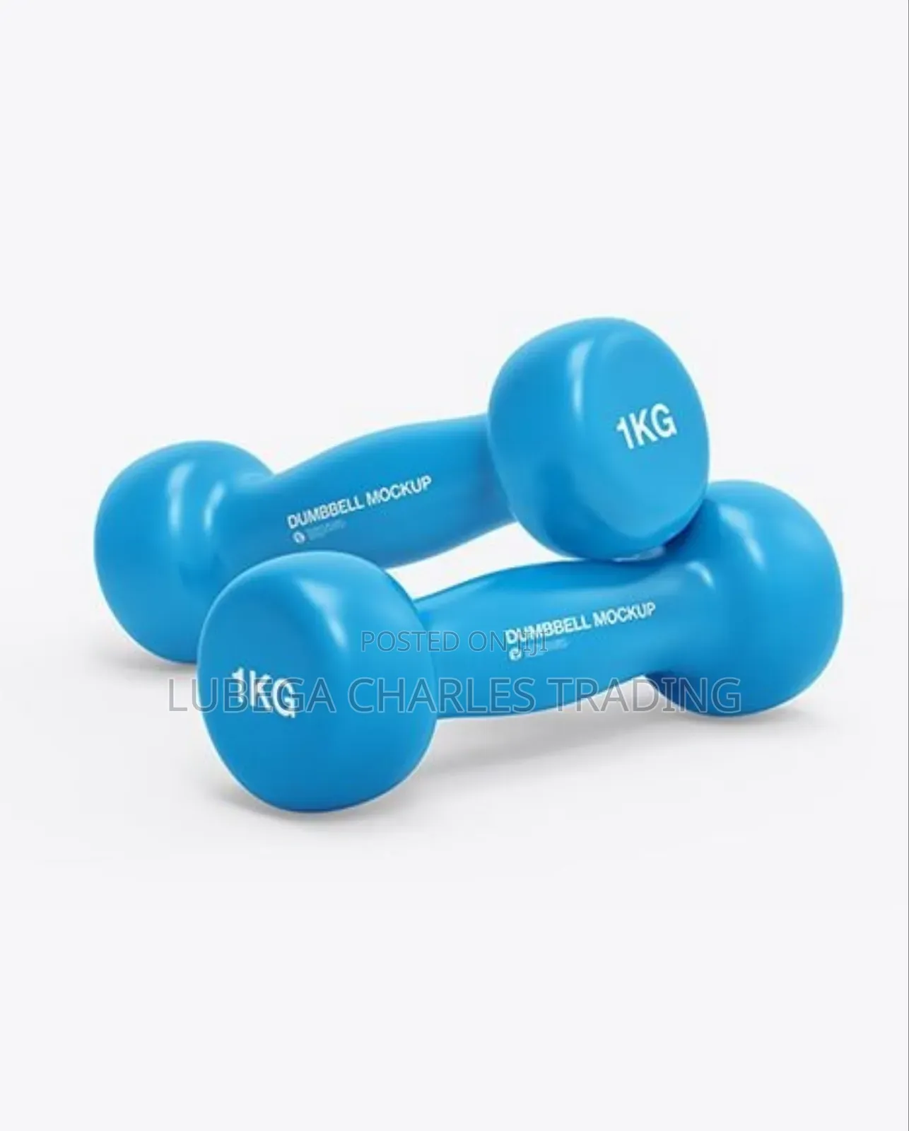 Professional Vinyl Coated Dumbbells