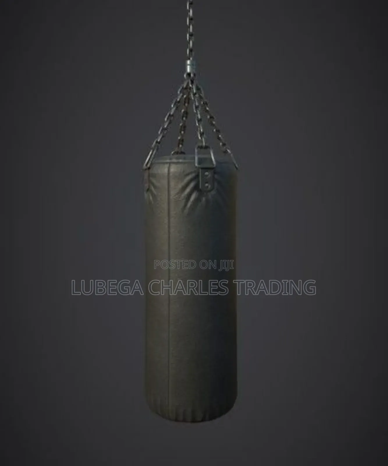 Professional Punching Bag