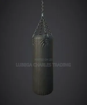 Professional Punching Bag