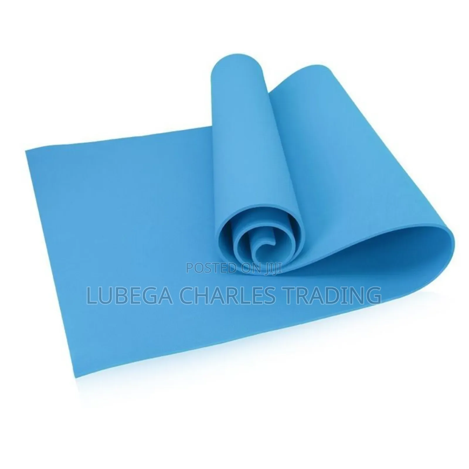 Eco Friendly Professional Yoga Gym Mat