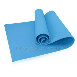 Eco Friendly Professional Yoga Gym Mat