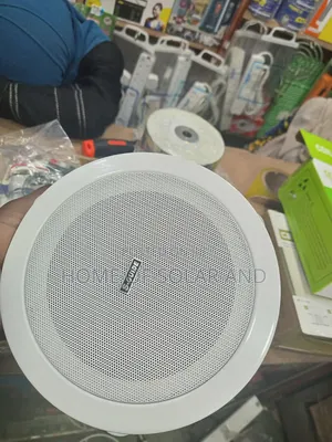 S-Guide Seiling Speaker 10w