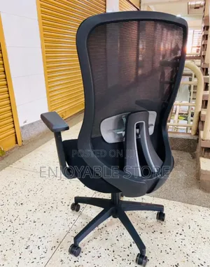 Executive Office Chairs