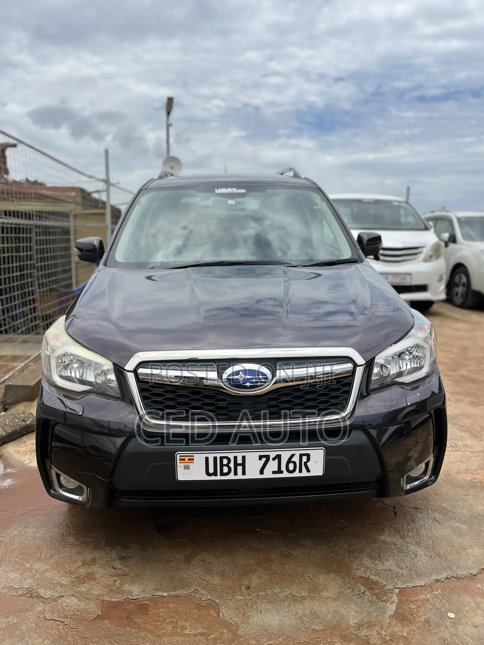 Subaru Forester 2013 Brown