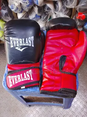 Training Gloves for Boxing 