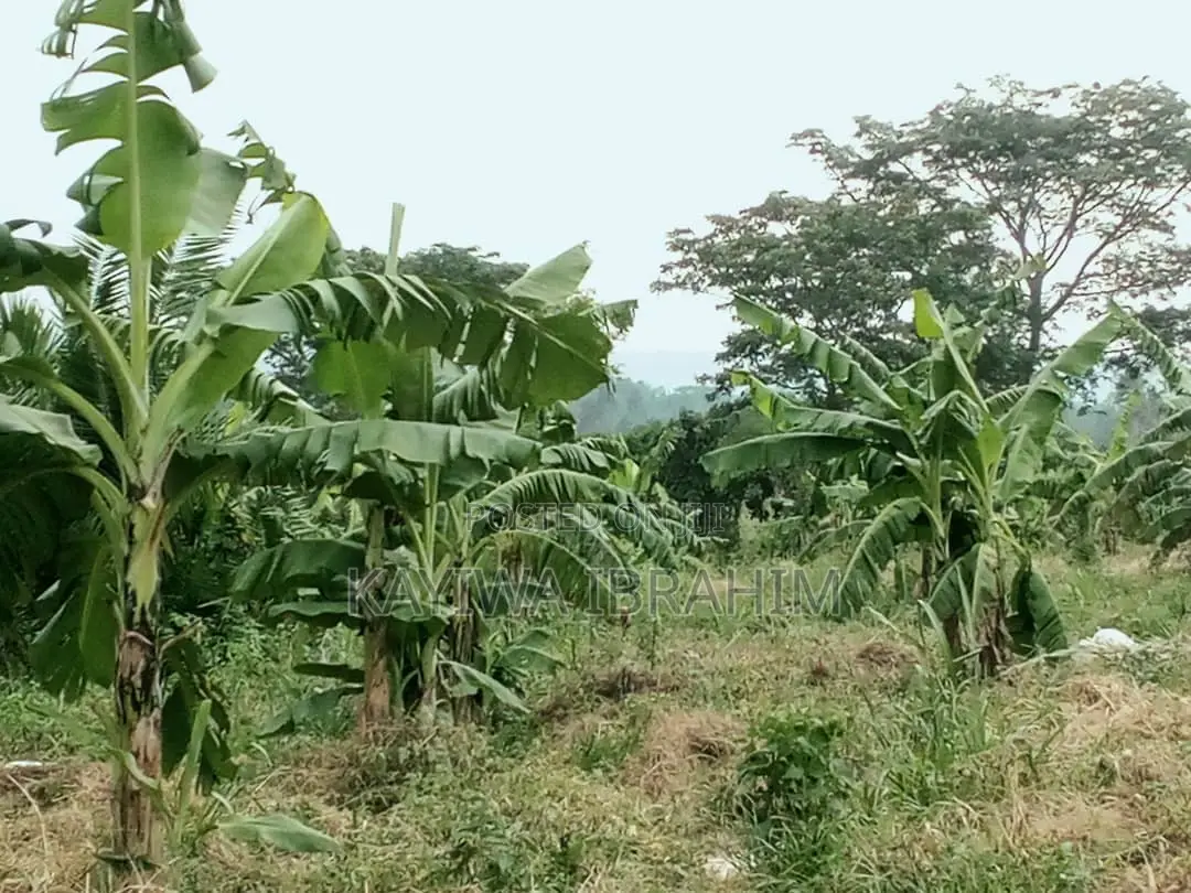 Furnished 1bdrm House in Millennium Estate, Kasanje for sale