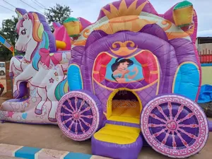 Bouncing Castles for Hire Per Day
