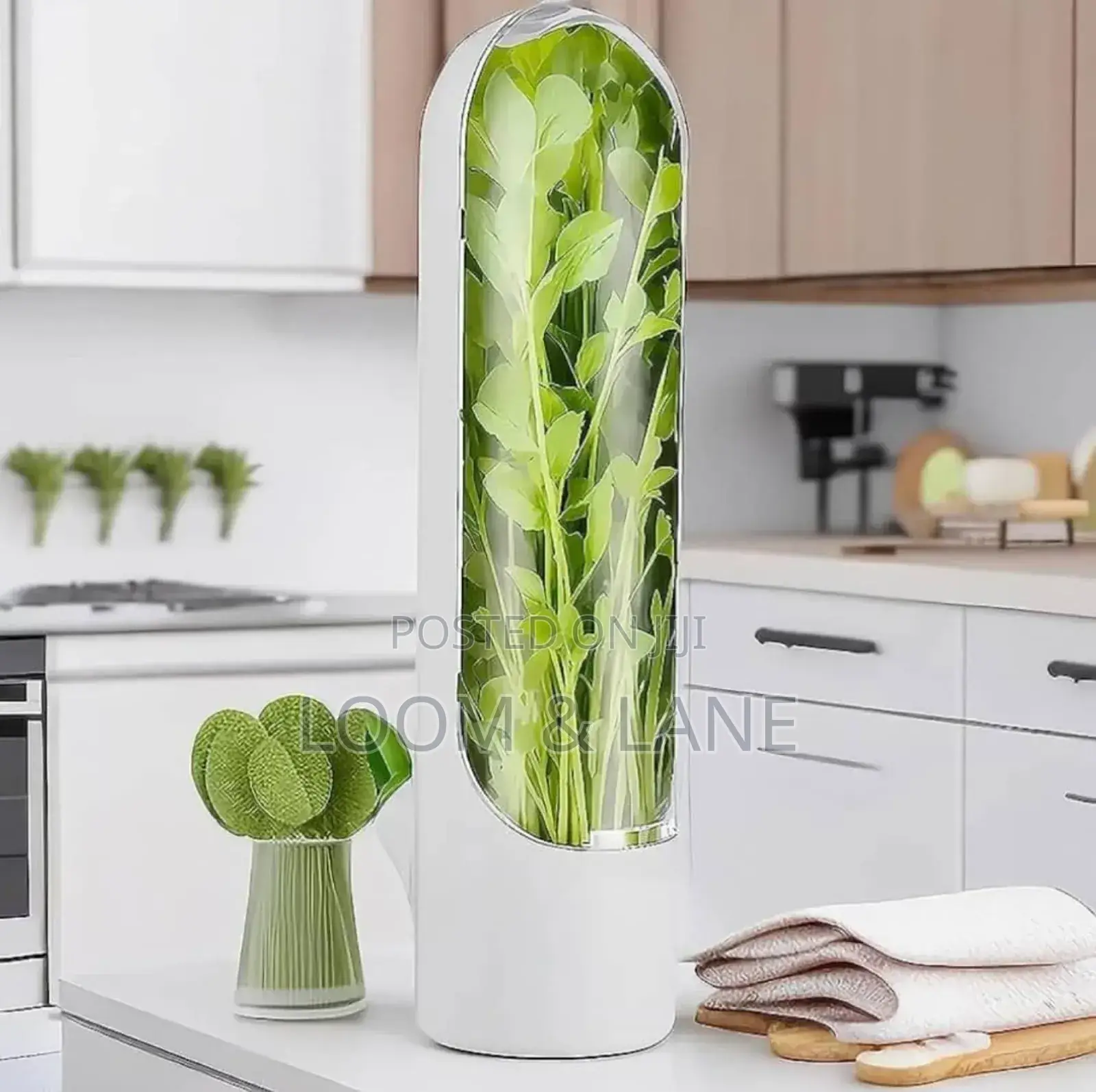 New Design Herb Storage Container