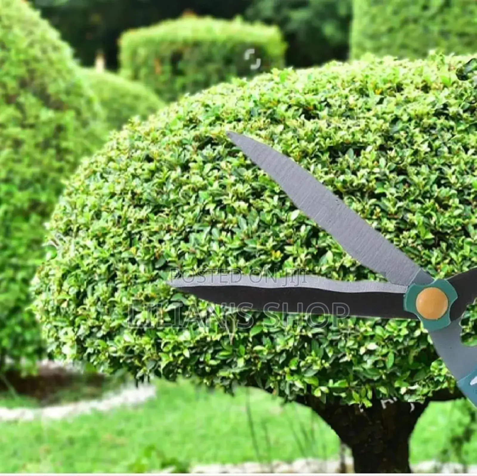 Stainless Steel Medium-Sized Garden Scissors
