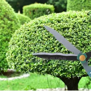 Stainless Steel Medium-Sized Garden Scissors