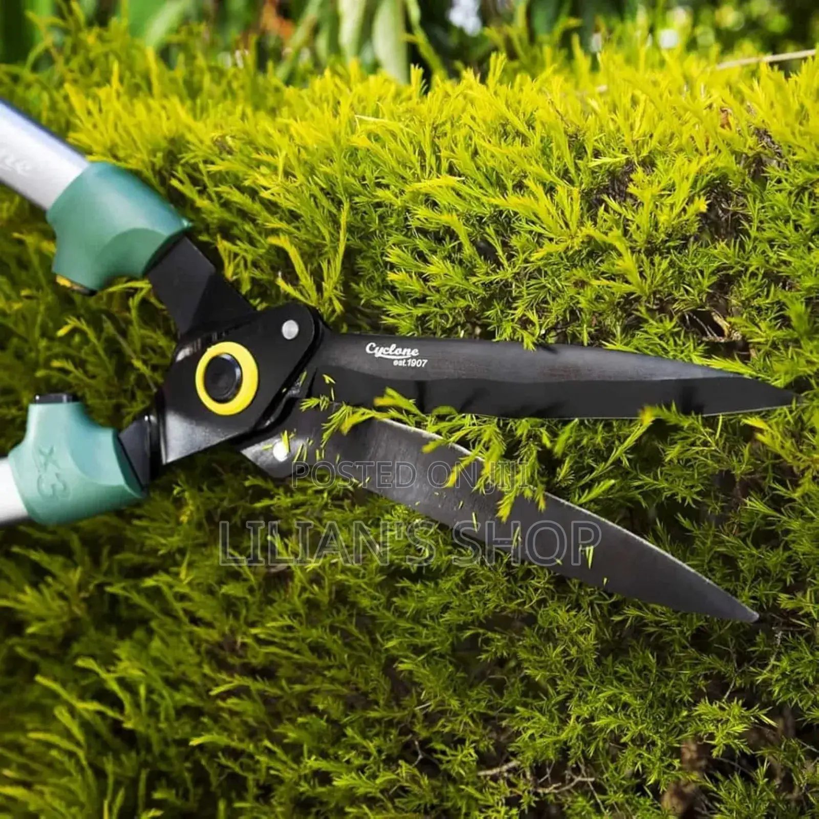 Stainless Steel Medium-Sized Garden Scissors